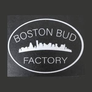 Boston bud factory - BOSTON BUD FACTORY, INC. is a Massachusetts Domestic Profit Corporation filed on July 13, 2018. The company's File Number is listed as 001336702. The Registered Agent on file for this company is Carlo Sarno and is located at 37 Commercial St., Holyoke, MA 01040.